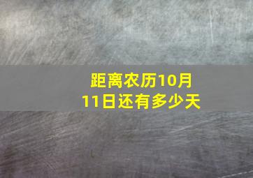 距离农历10月11日还有多少天