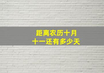 距离农历十月十一还有多少天