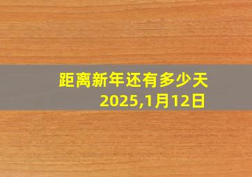 距离新年还有多少天2025,1月12日