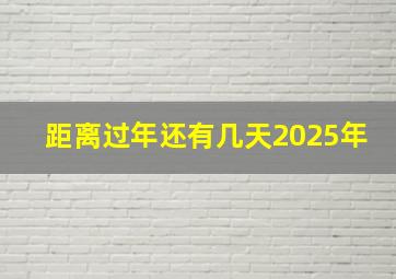 距离过年还有几天2025年