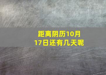 距离阴历10月17日还有几天呢