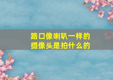 路口像喇叭一样的摄像头是拍什么的