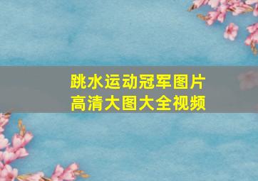 跳水运动冠军图片高清大图大全视频