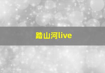 踏山河live