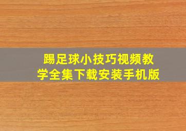 踢足球小技巧视频教学全集下载安装手机版