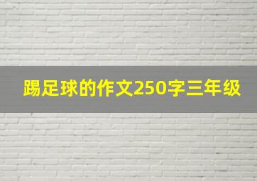 踢足球的作文250字三年级