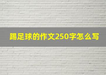 踢足球的作文250字怎么写