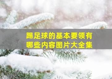 踢足球的基本要领有哪些内容图片大全集