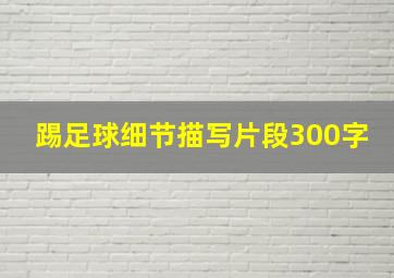 踢足球细节描写片段300字