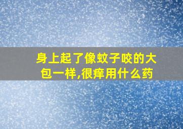 身上起了像蚊子咬的大包一样,很痒用什么药