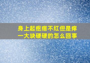 身上起疙瘩不红但是痒一大块硬硬的怎么回事