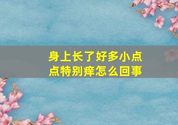 身上长了好多小点点特别痒怎么回事