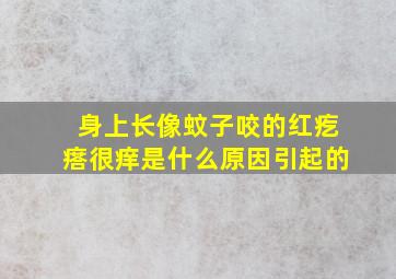 身上长像蚊子咬的红疙瘩很痒是什么原因引起的