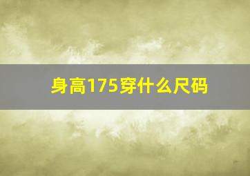 身高175穿什么尺码