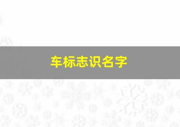 车标志识名字