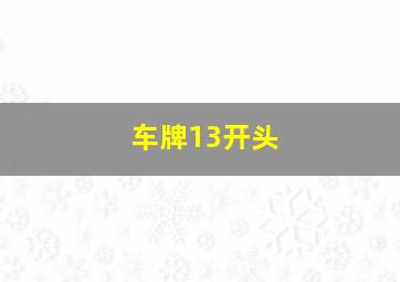 车牌13开头