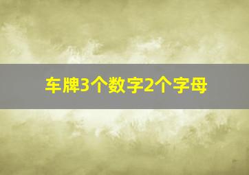 车牌3个数字2个字母