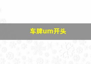 车牌um开头