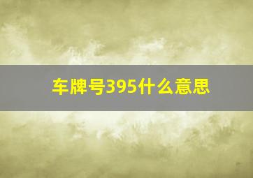 车牌号395什么意思