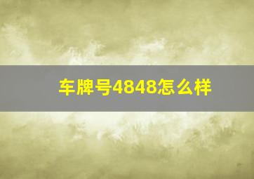 车牌号4848怎么样