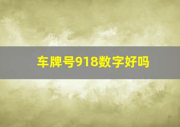 车牌号918数字好吗