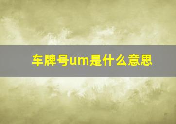 车牌号um是什么意思