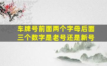 车牌号前面两个字母后面三个数字是老号还是新号