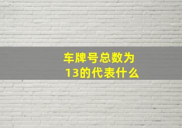 车牌号总数为13的代表什么