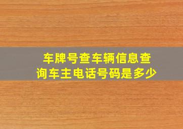 车牌号查车辆信息查询车主电话号码是多少