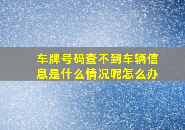 车牌号码查不到车辆信息是什么情况呢怎么办