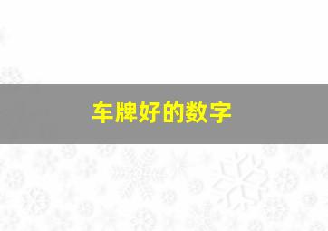 车牌好的数字