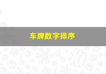 车牌数字排序