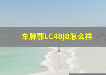 车牌鄂LC48J8怎么样