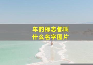 车的标志都叫什么名字图片