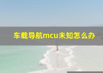 车载导航mcu未知怎么办