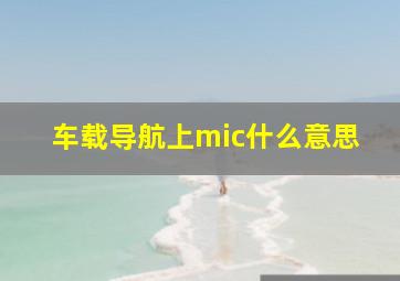 车载导航上mic什么意思