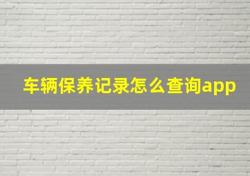 车辆保养记录怎么查询app