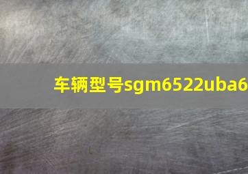 车辆型号sgm6522uba6