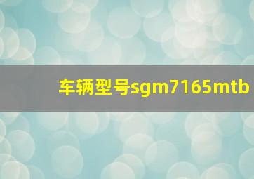 车辆型号sgm7165mtb