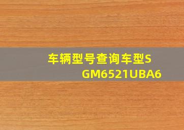 车辆型号查询车型SGM6521UBA6