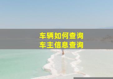 车辆如何查询车主信息查询