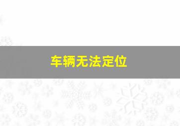 车辆无法定位