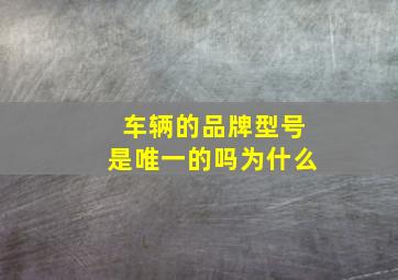 车辆的品牌型号是唯一的吗为什么