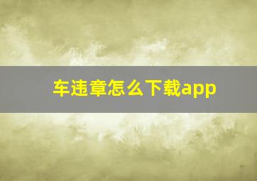 车违章怎么下载app