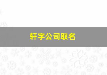 轩字公司取名