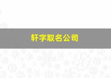 轩字取名公司