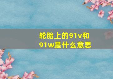 轮胎上的91v和91w是什么意思