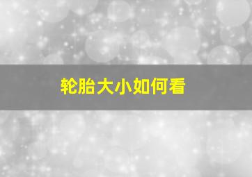 轮胎大小如何看