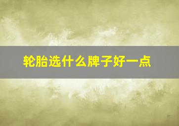 轮胎选什么牌子好一点