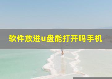 软件放进u盘能打开吗手机